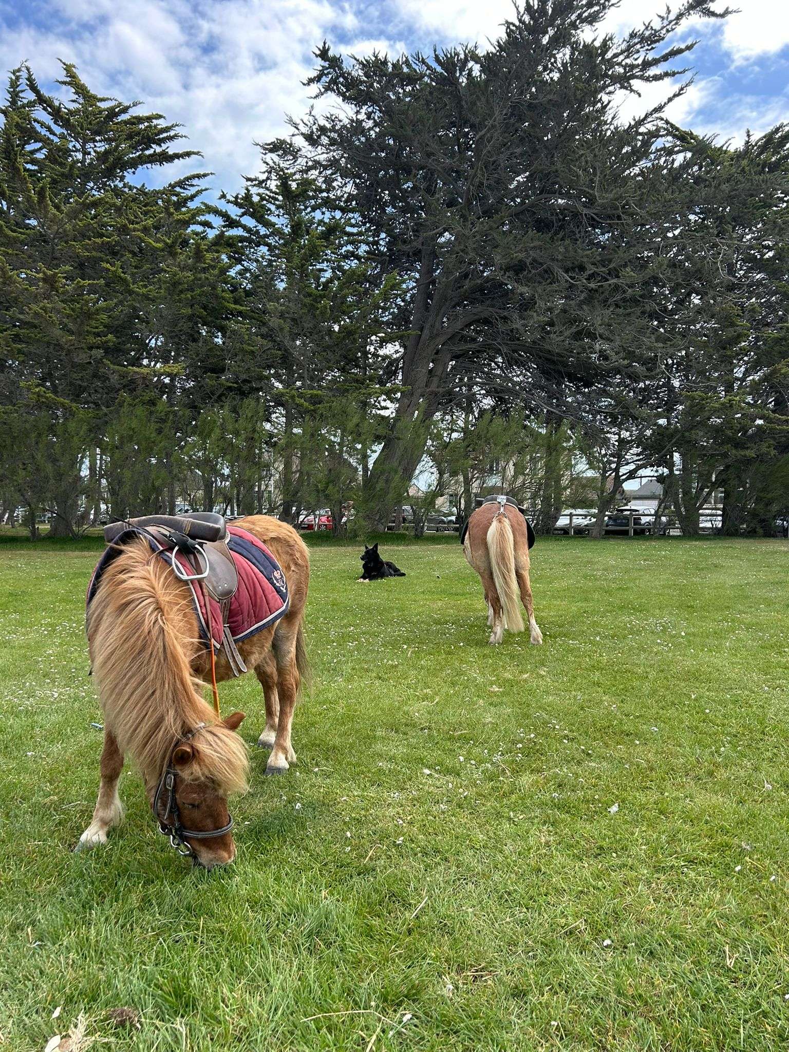 Enfant à poney sur la plage